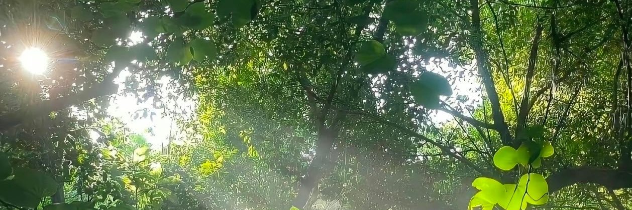 kokkkkki banner
