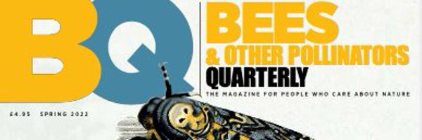 BqEditor Profile Banner