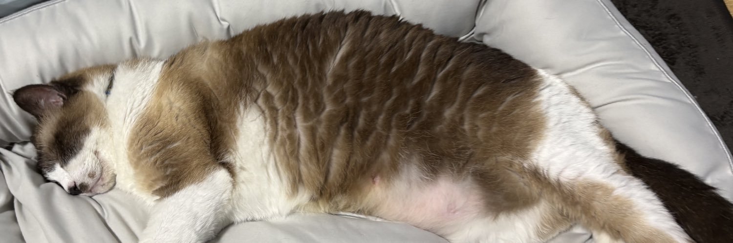 XboxGamePass300万円生活 banner