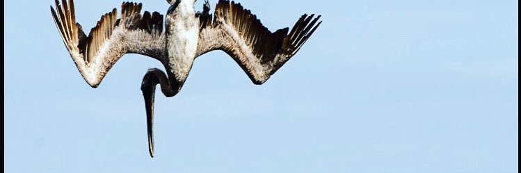rajabds's profile banner image