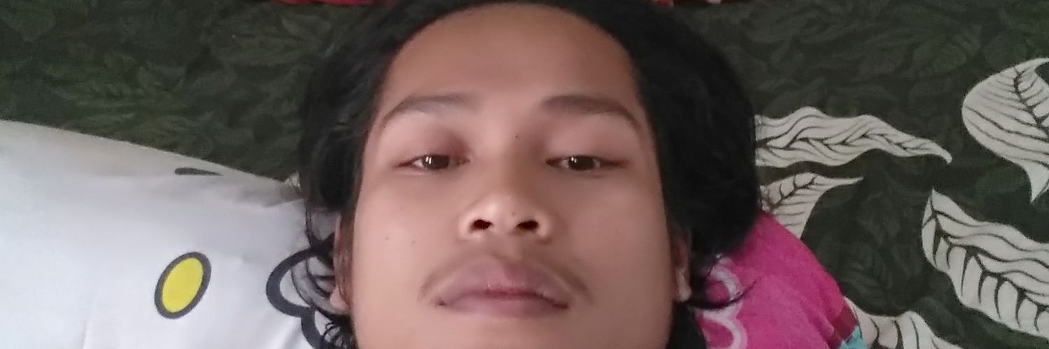 budiardabily's profile banner image