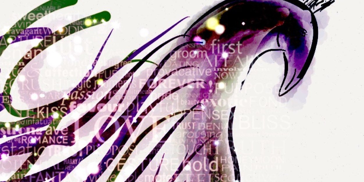 quitecontrary0's profile banner image