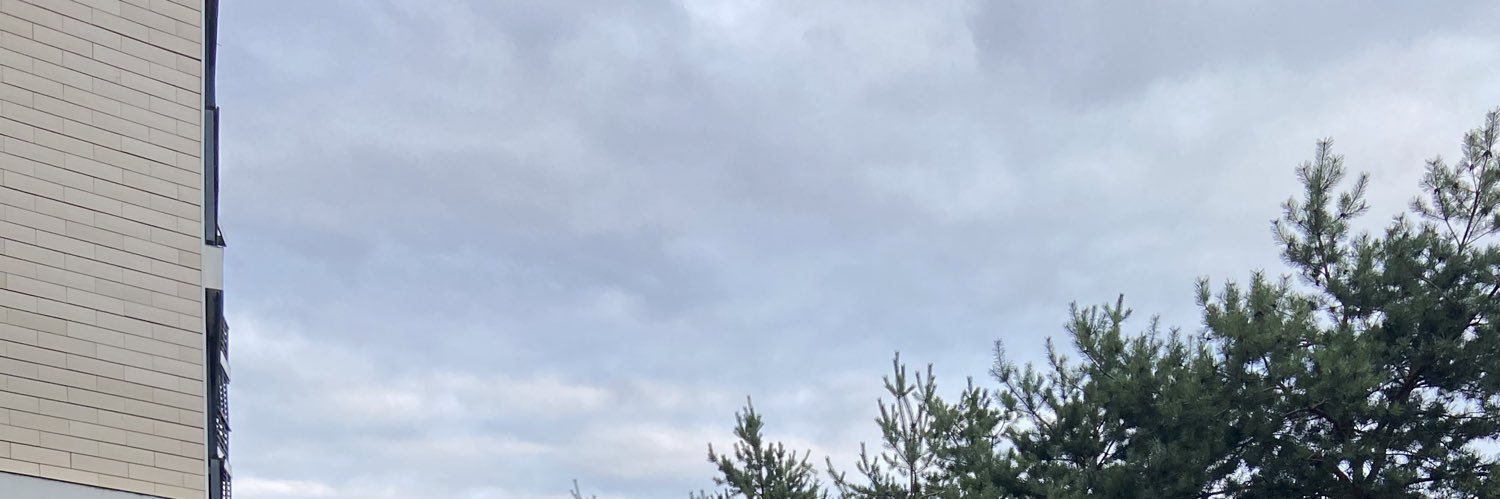 ash banner