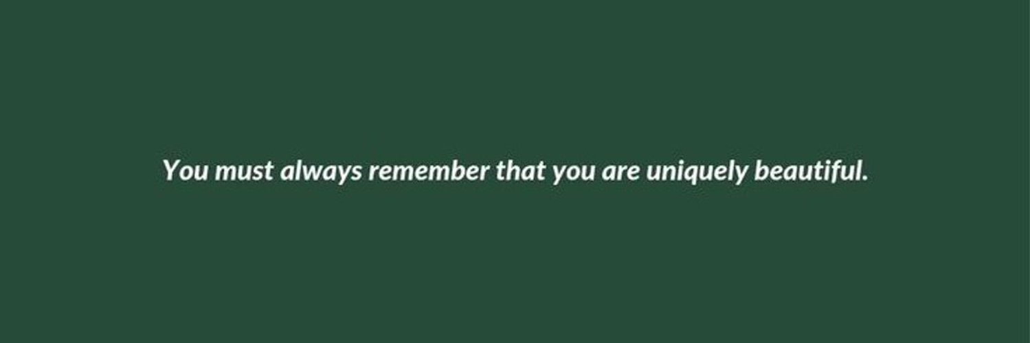 chanz banner