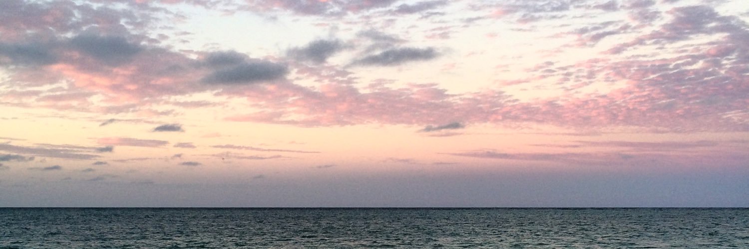ami_or_amy's profile banner image