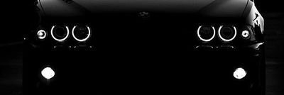 شکاری بھڑیا banner