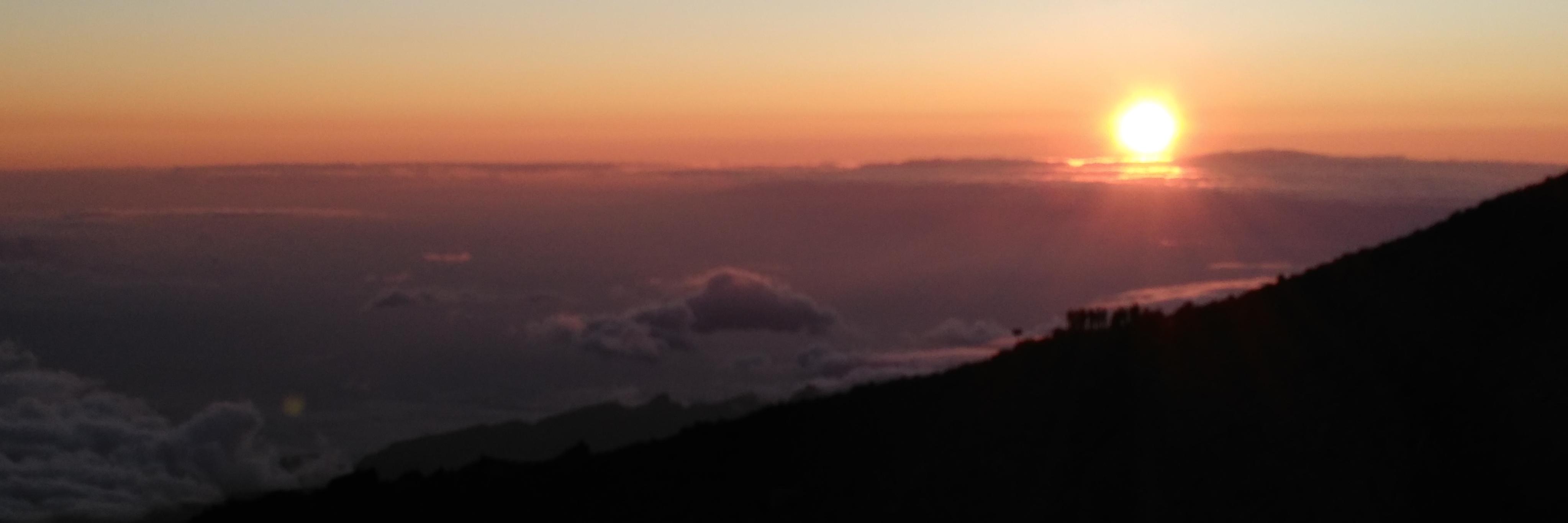 ProfeVena's profile banner image