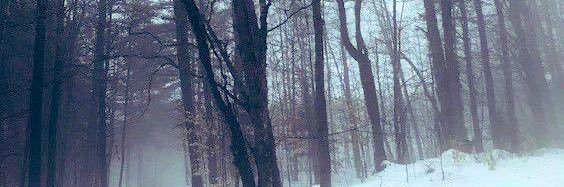 matjldq's profile banner image