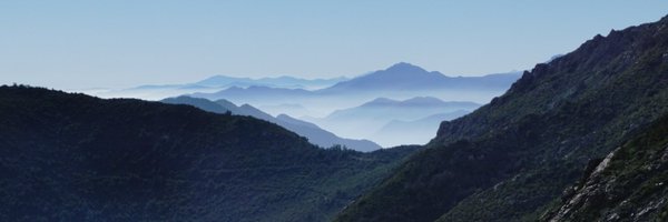 xsusiewang Profile Banner