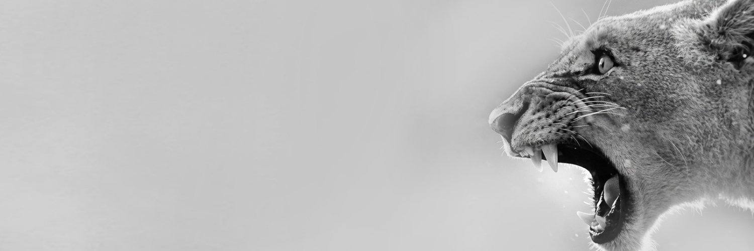 idwkbyzz's profile banner image