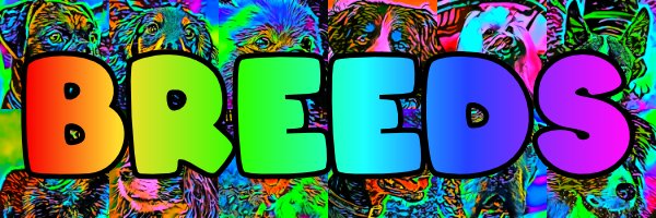 breedsnft Profile Banner