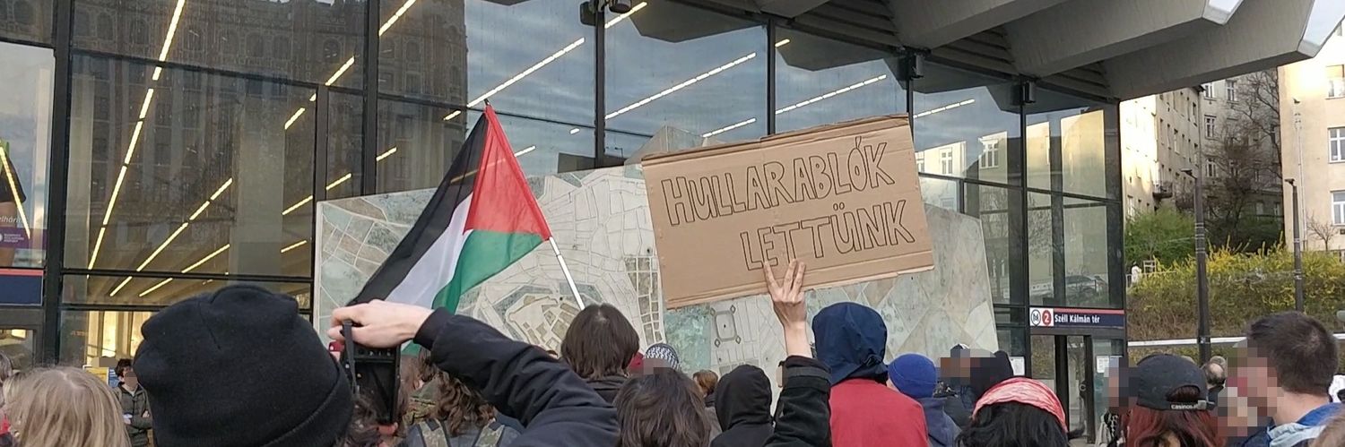 🔻Zizzy🪂 banner