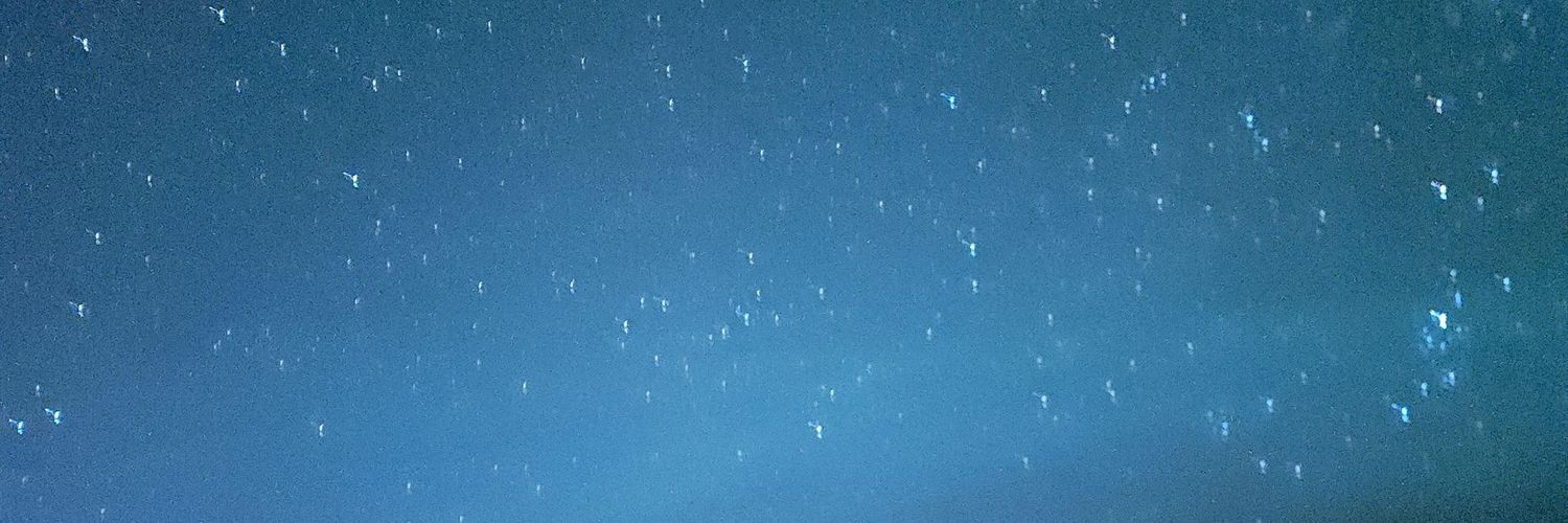 キャサリン banner