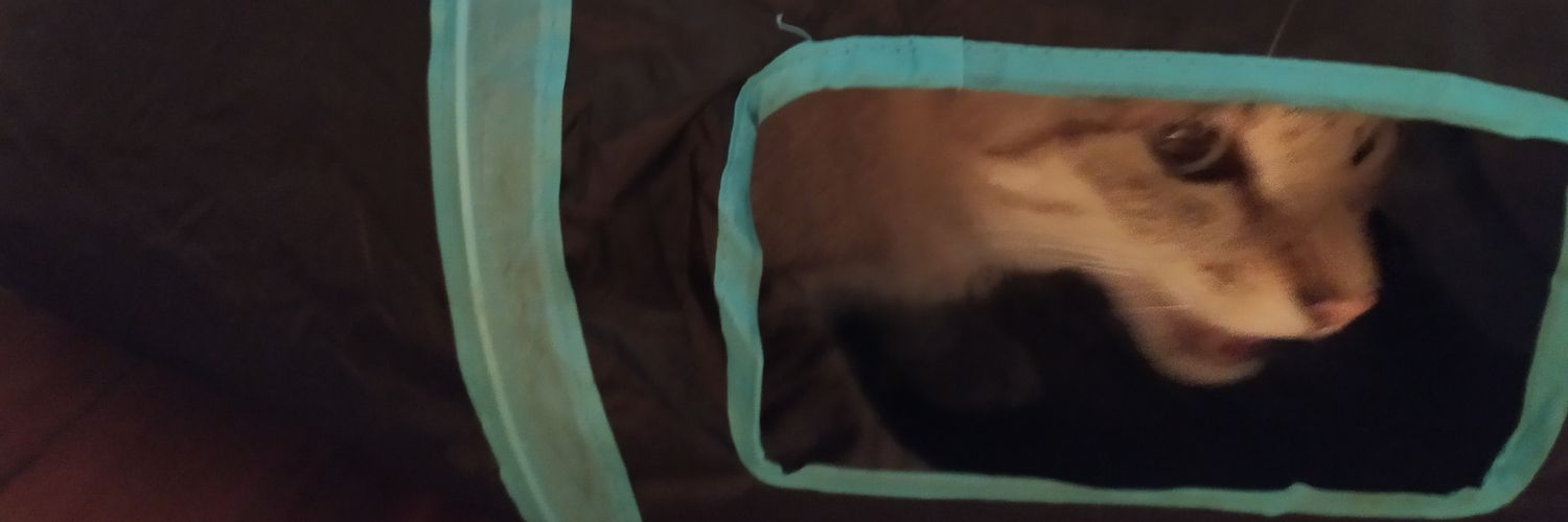alexispxt's profile banner image