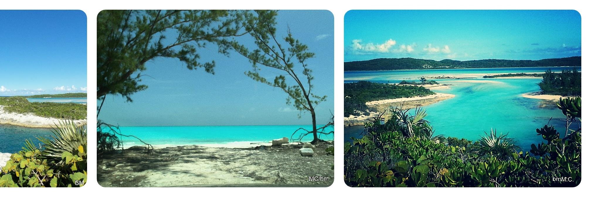 The Long Island Runner News banner