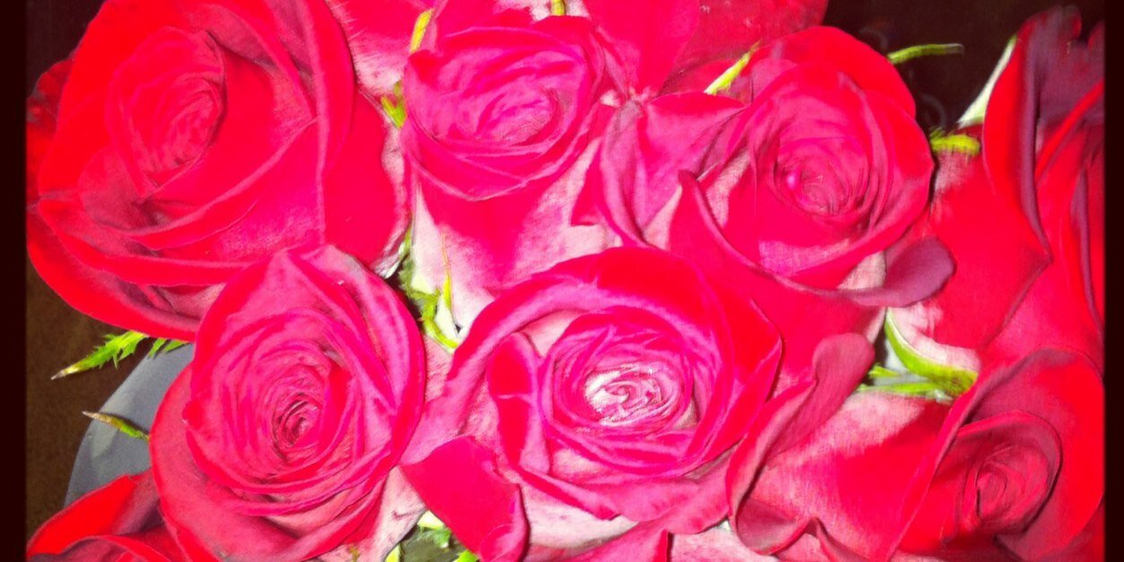 Emmakubbs's profile banner image