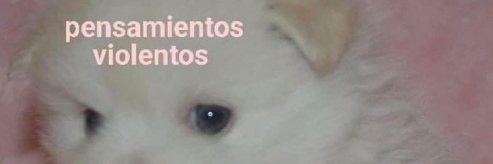 notfrunaTM's profile banner image
