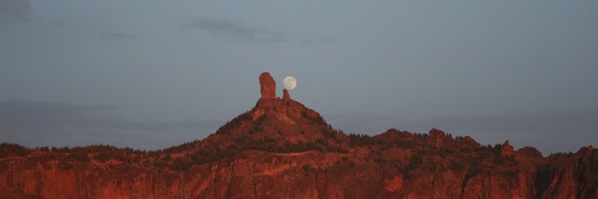 Victor Manchado banner