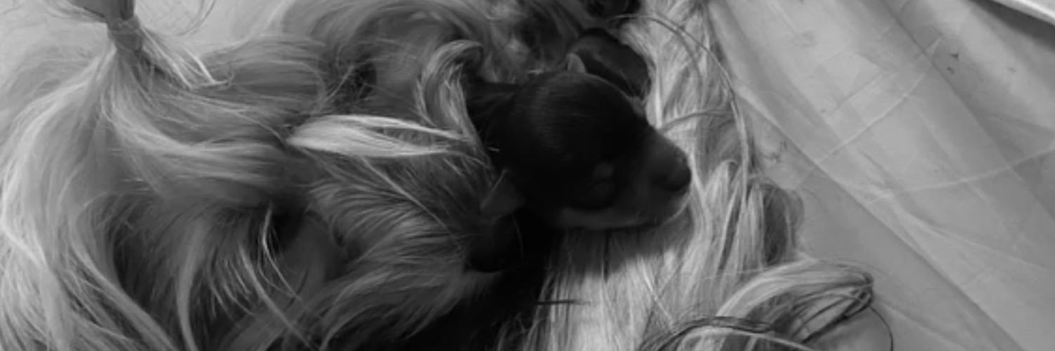 v banner
