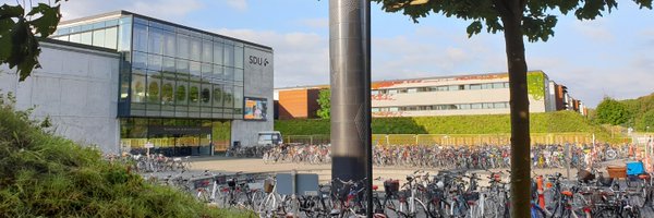 franziska_lau_ Profile Banner