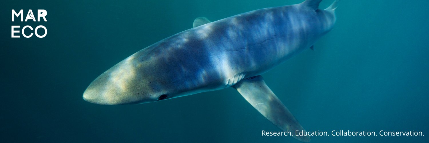 Marine Research & Conservation Foundation (MARECO) banner