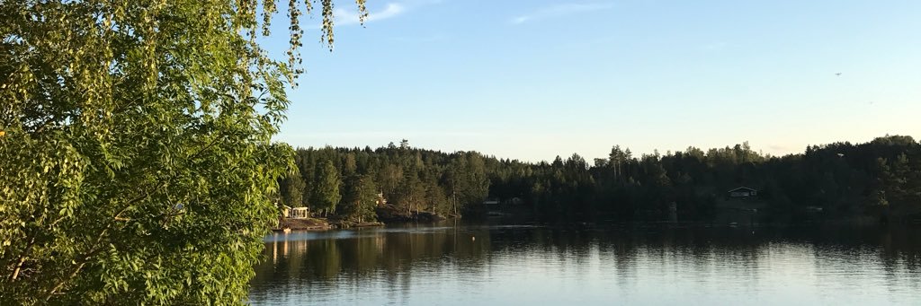 frida_borgstrom's profile banner image