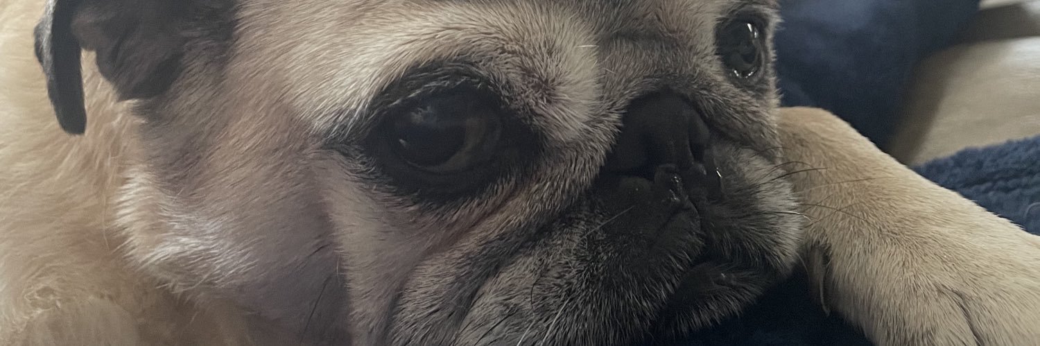 sarakallen108's profile banner image