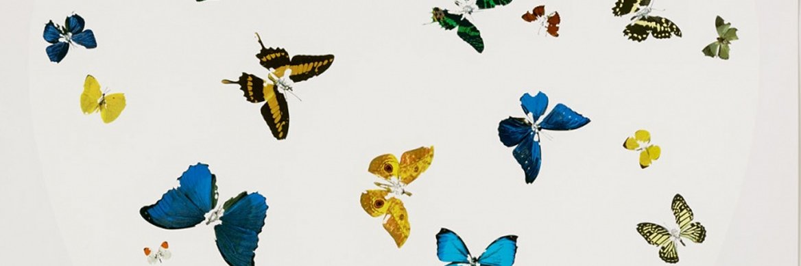 Erin Rholl, MD MA banner