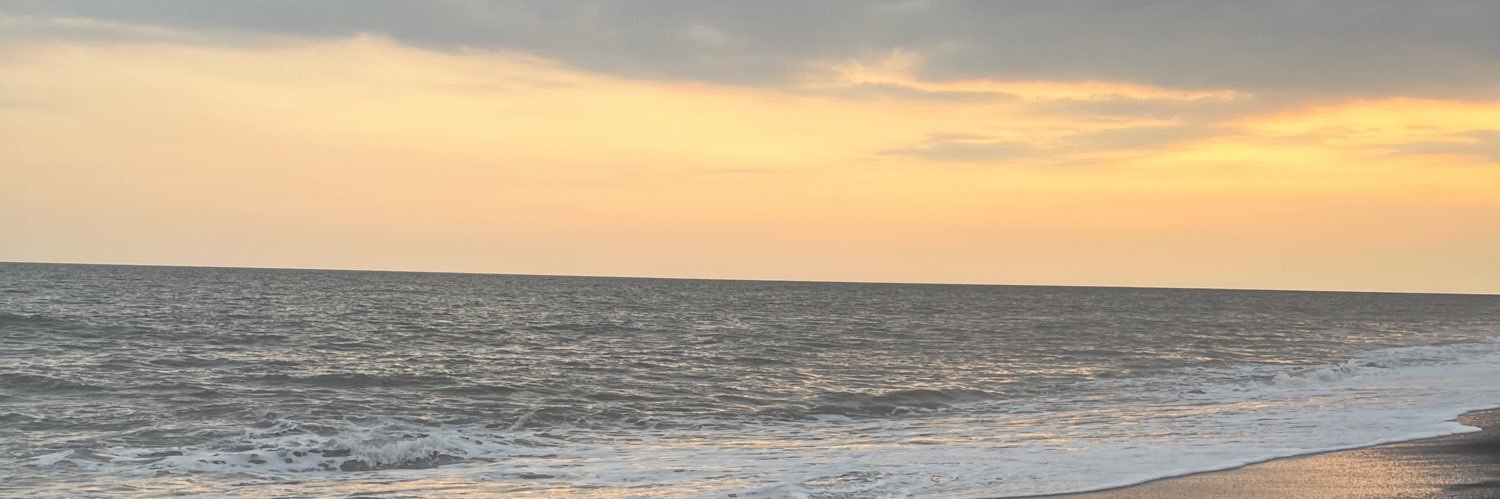 AlejandroPivar4's profile banner image