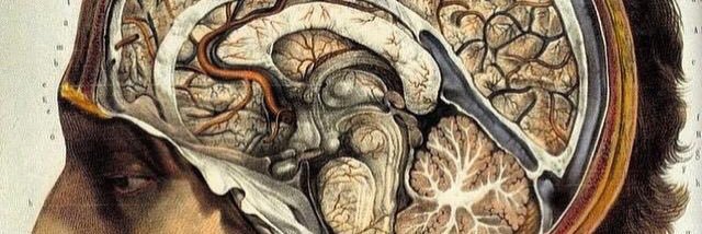 JesusDeLeonMD's profile banner image