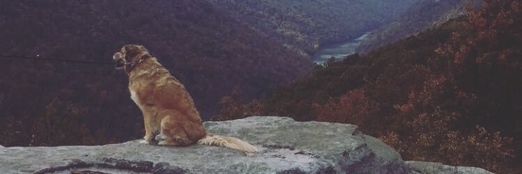 bethallowatt's profile banner image