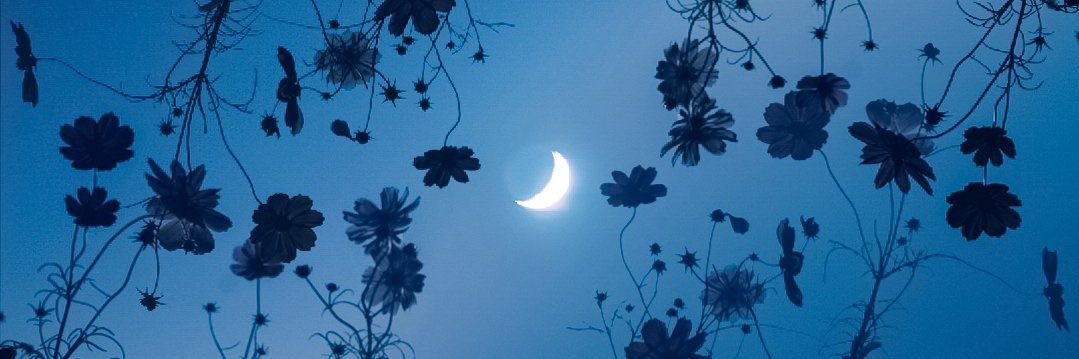 𝚒𝙽𝚊𝚟𝚢 🎐 banner