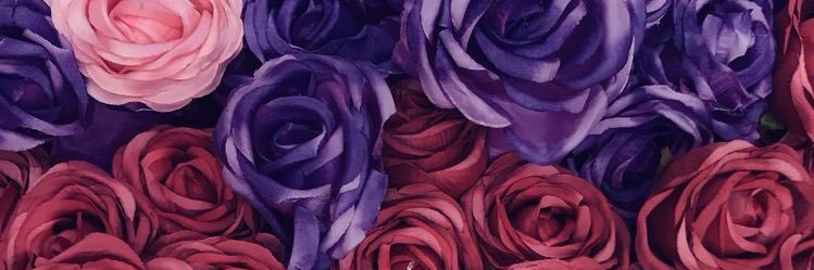 LuciManago's profile banner image