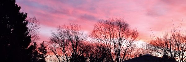Lytlejay1 Profile Banner