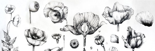 ginevradottavio Profile Banner