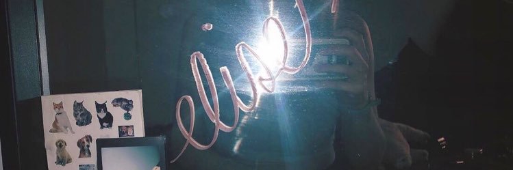 elisemck's profile banner image