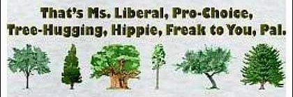 Ilene to the LEFT 🇺🇸 🇺🇦 🇬🇱 🇨🇦 banner