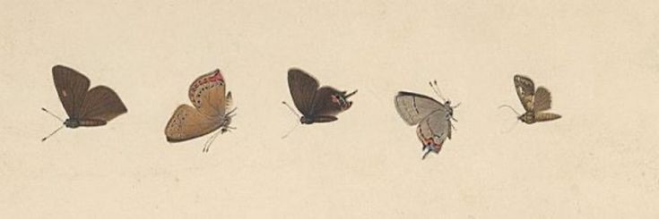 eriss_wallace's profile banner image
