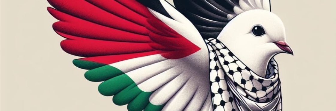 fabron01 🐢🐺 banner