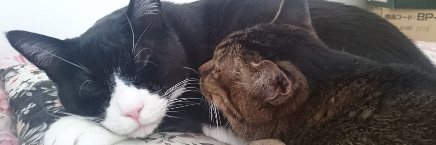 b_wcat's profile banner image