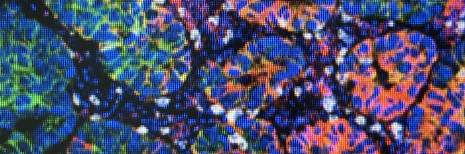 The Jackson Laboratory Cancer Center banner