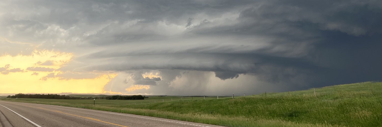 Alex Zielinski banner