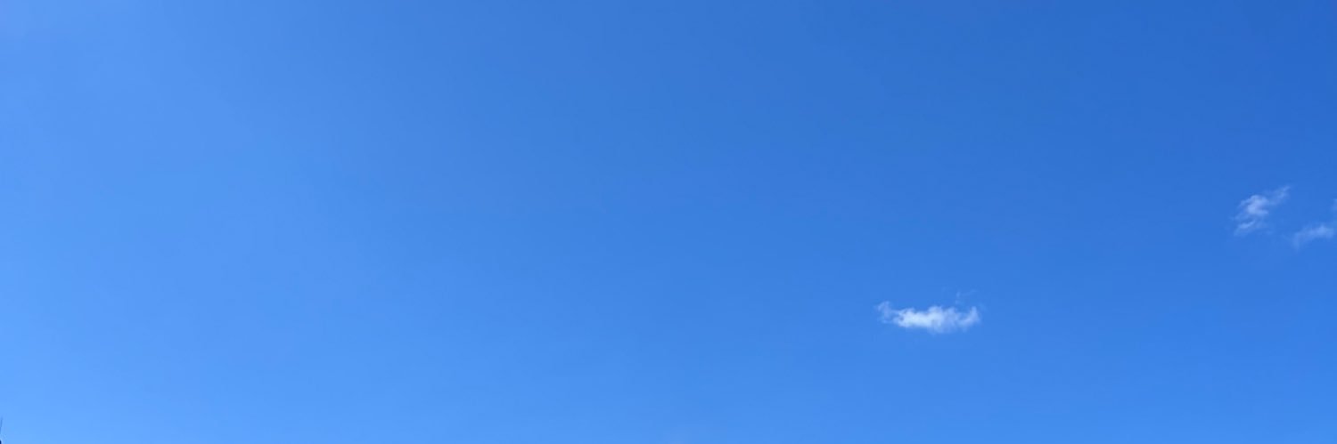 Karnav Raval banner
