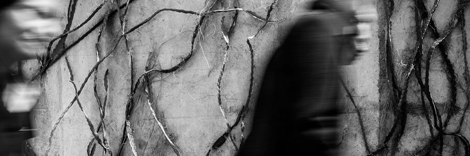 primalstudio's profile banner image