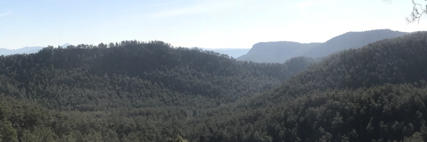 Álvaro Guiñón banner