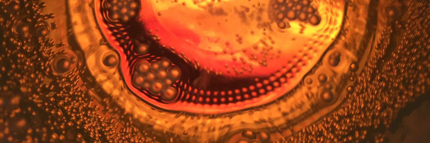 Wicksley Snipes! banner