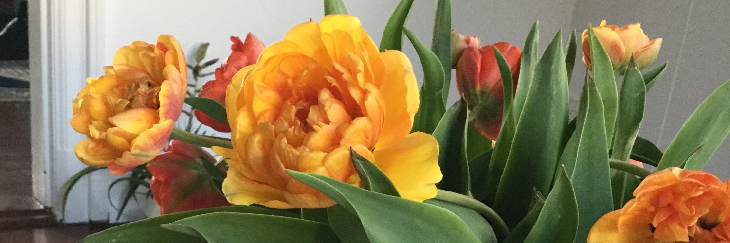 Susanne Wammen banner