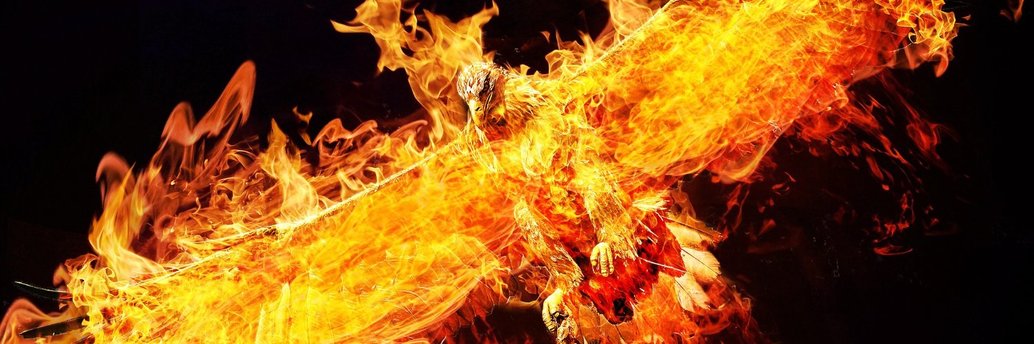 web3phoenix's profile banner image