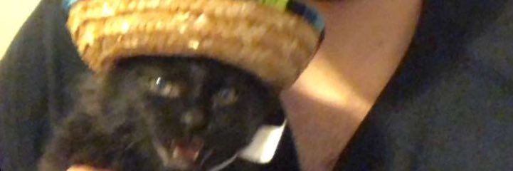 Imgabegabe's profile banner image