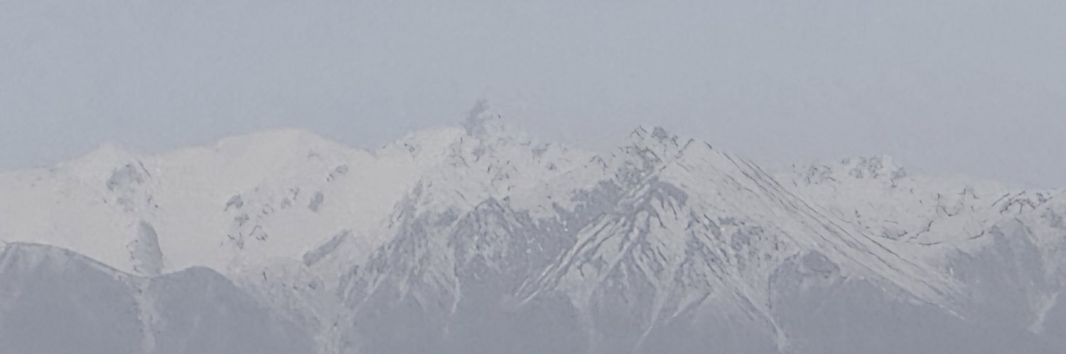 timaney's profile banner image